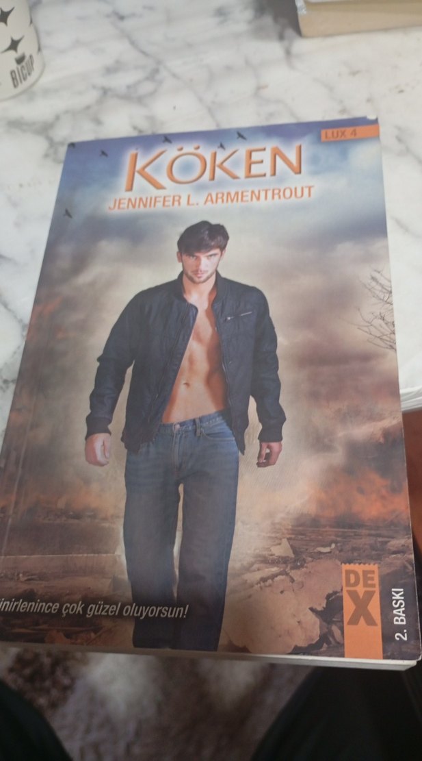 KÖKEN - LUX 4 Şiir Kitabı - Görsel 2