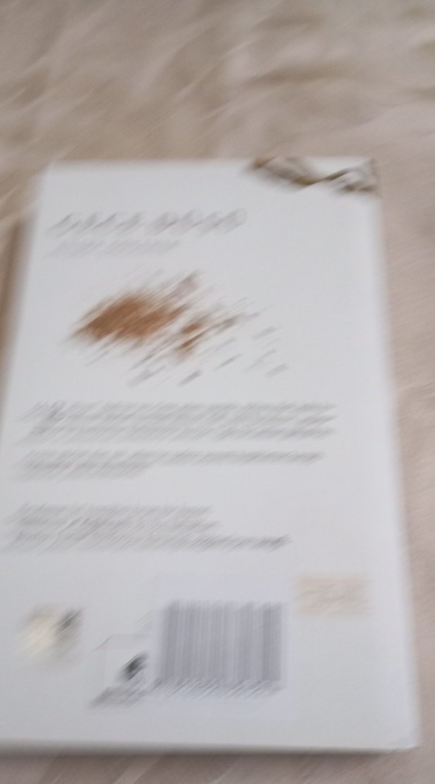 Gece Düşü - Rüşa Göçener - Görsel 2