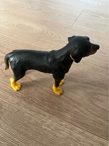  Beden Köpek