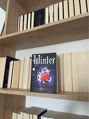 Ay Günlükleri Serisi