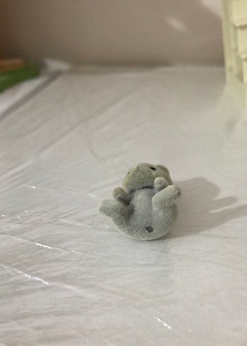 Kedi bebek - Görsel 3