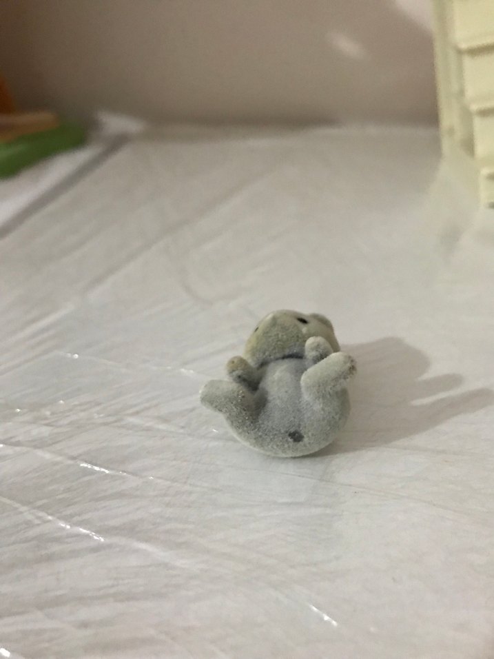 Kedi bebek - Görsel 3