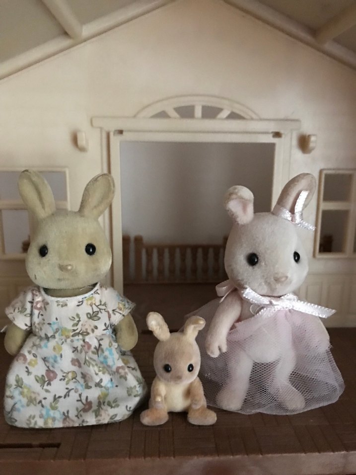 Sylvanian families Tavşan Aile - Görsel 2
