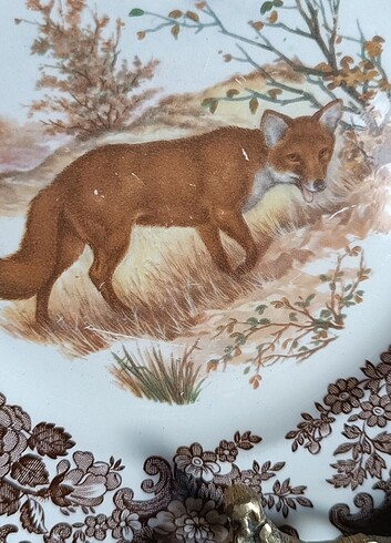 Diğer Royal Worcester Palissy tatlı tabağı