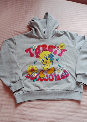 Gri Baskılı Kız Çocuk Eşofman Takımı - Görsel 2