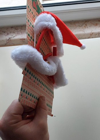 Kedi / Köpek tasması ve şapkası - Görsel 3