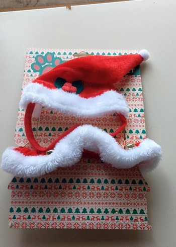 Kedi / Köpek tasması ve şapkası - Görsel 4