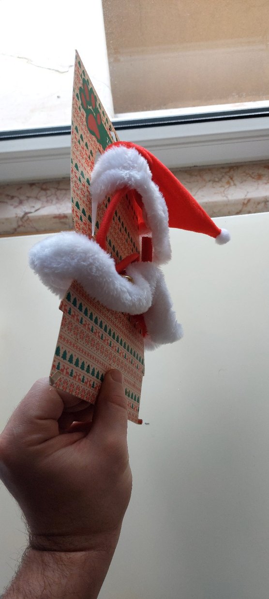 Kedi / Köpek tasması ve şapkası - Görsel 3