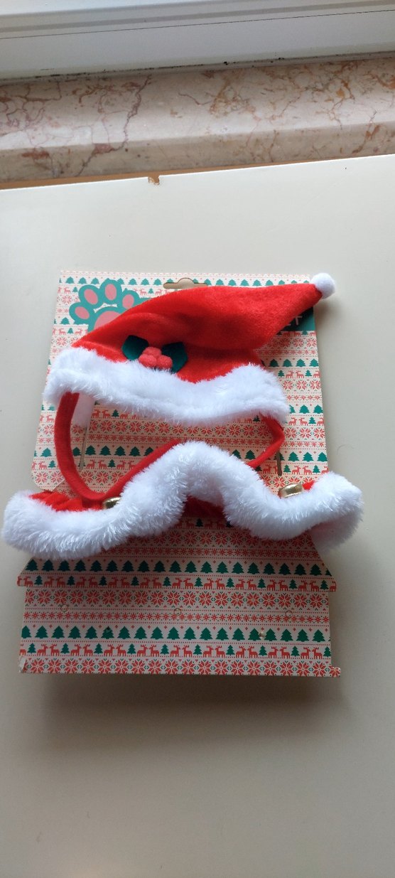 Kedi / Köpek tasması ve şapkası - Görsel 4