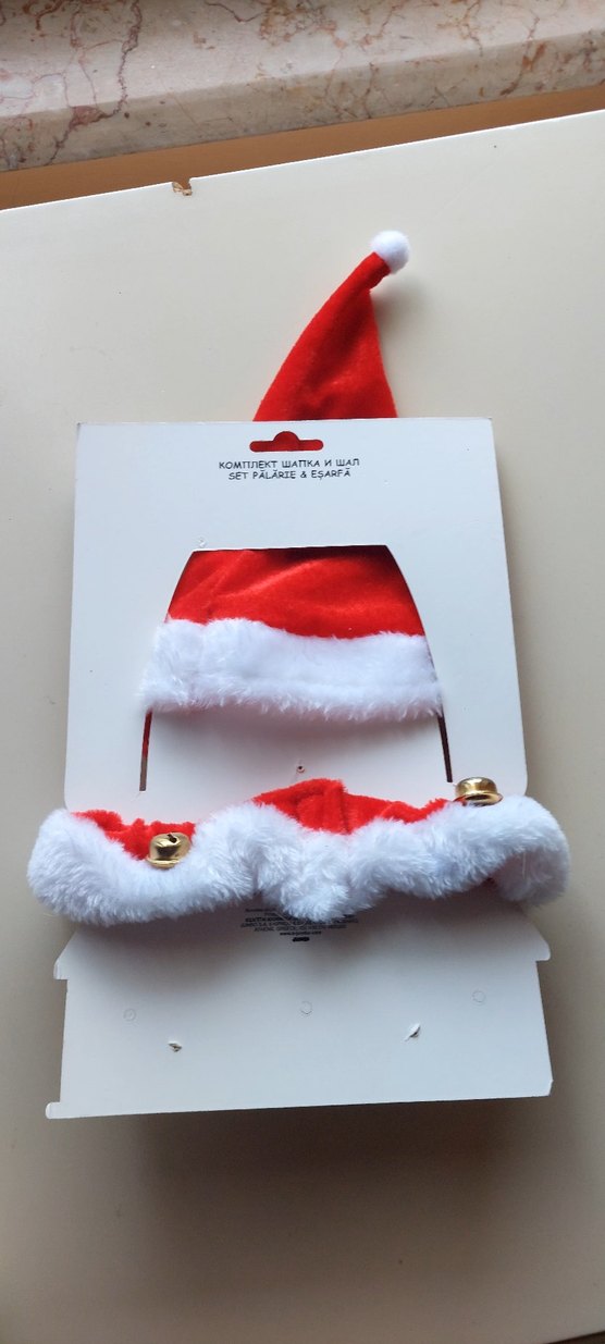 Kedi / Köpek tasması ve şapkası - Görsel 2