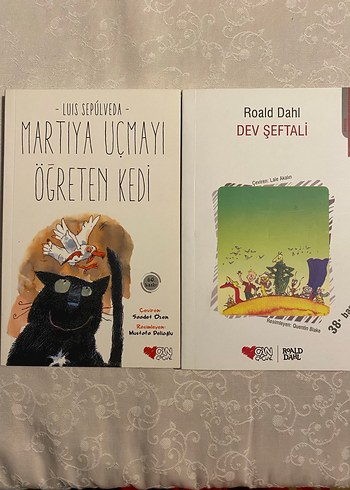 Martıya Uçmayı Öğreten Kedi ve Dev Şeftali
