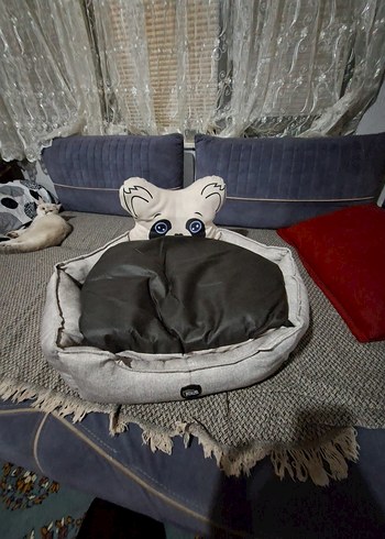 Ally Paws Kedi Yatağı - Görsel 2