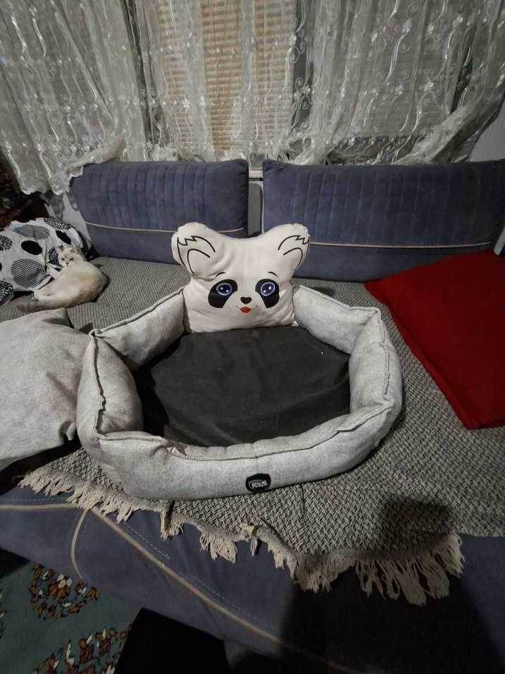 Ally Paws Kedi Yatağı - Görsel 3