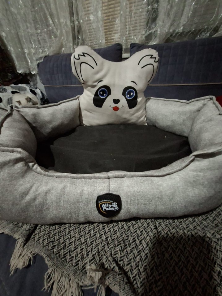 Ally Paws Kedi Yatağı - Görsel 4
