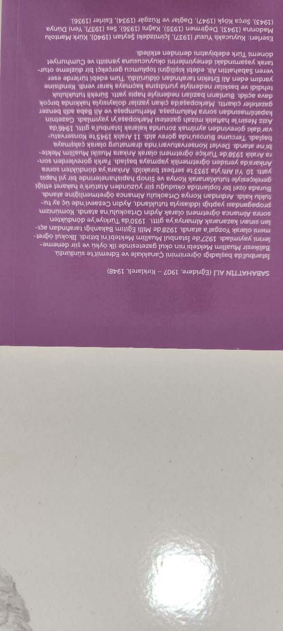 Sırça Koşk - Sabahattin Ali Mizah Kitabı - Görsel 2