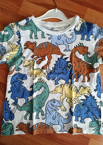 H&M Renkli Erkek Tişört