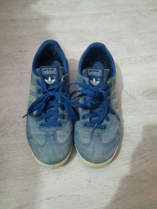 Kot adidas dragon