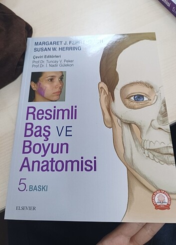 Baş ve boyun anatomisi(sıfır)