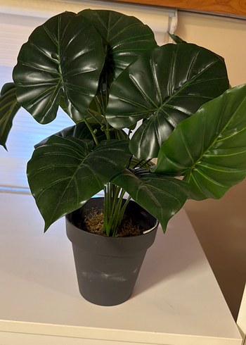 Püsküllü Hasır Sepet çiçek - Görsel 2