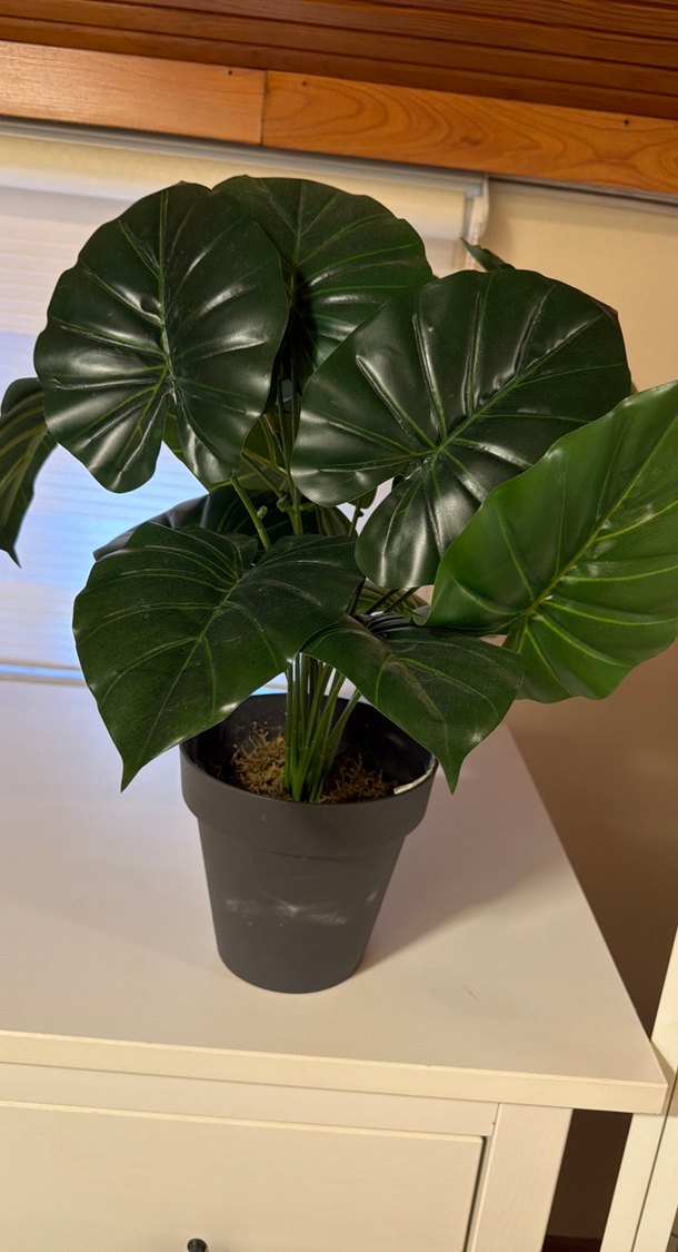 Püsküllü Hasır Sepet çiçek - Görsel 2