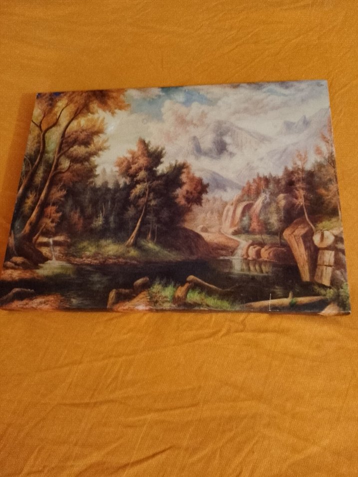 Parlak Kahverengi Kedi AksesuarıTAPLOLAR TANESİ 125 TL - Görsel 2