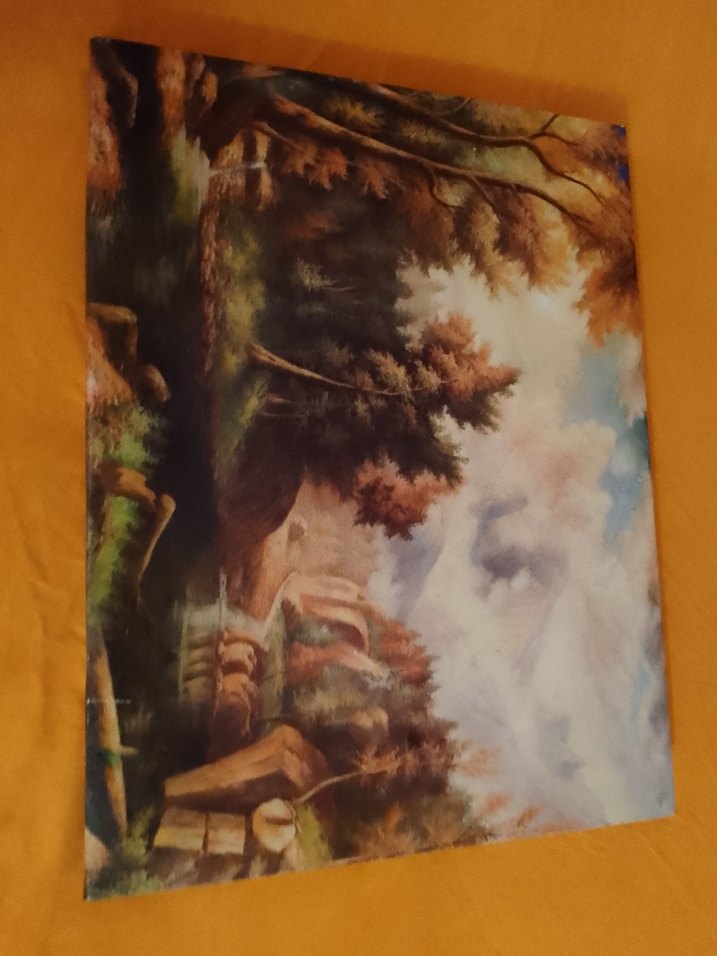 Parlak Kahverengi Kedi AksesuarıTAPLOLAR TANESİ 125 TL - Görsel 3