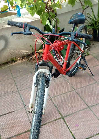 genç çocuk bisikleti açıklamaya bakınız - Görsel 8