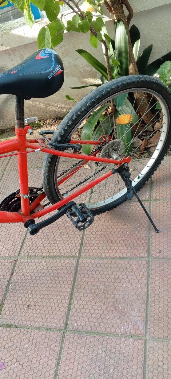 genç çocuk bisikleti açıklamaya bakınız - Görsel 5