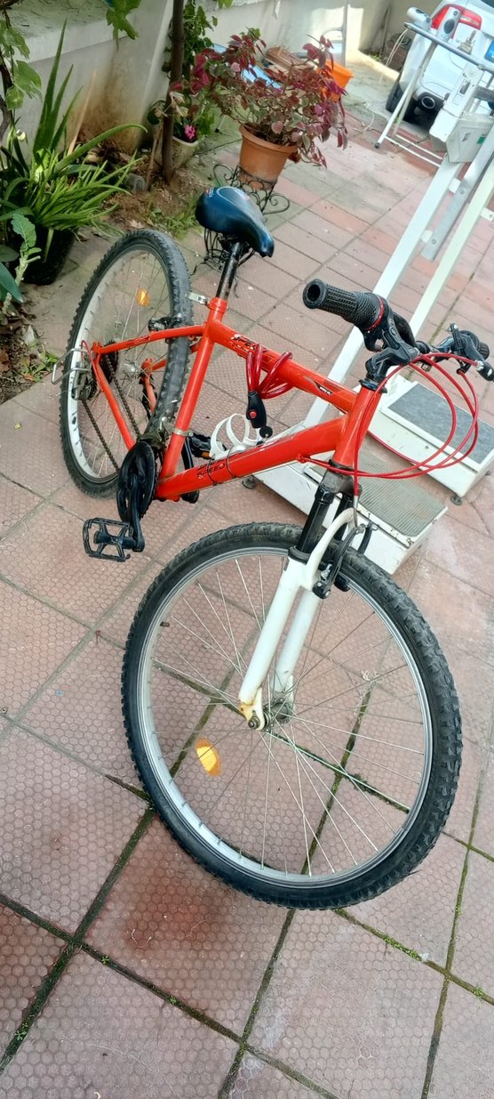 genç çocuk bisikleti açıklamaya bakınız - Görsel 4