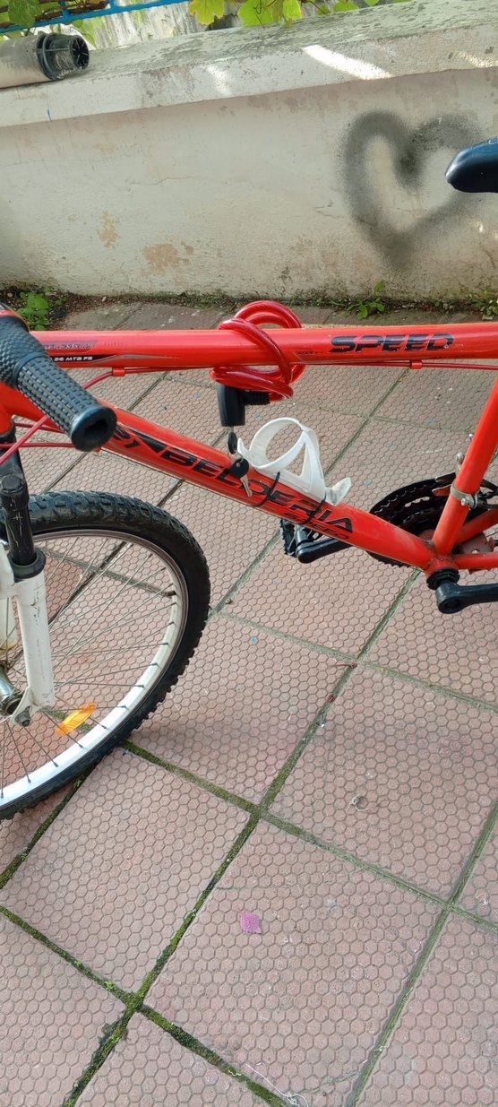 genç çocuk bisikleti açıklamaya bakınız - Görsel 3