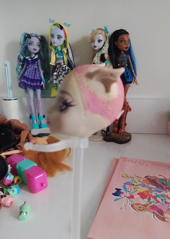 Monster High monster high rochelle basic bebek kafası kel