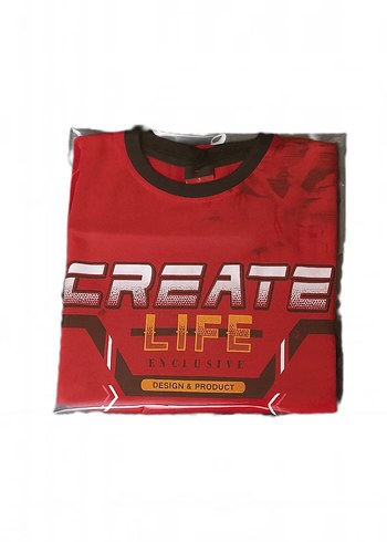 Diğer Erkek Kırmızı Baskılı Pop Kültür T-shirt