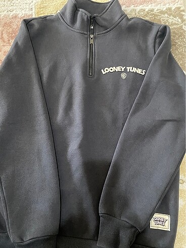 Erkek sweatshirt