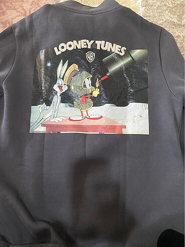 s Beden gri Renk Erkek sweatshirt