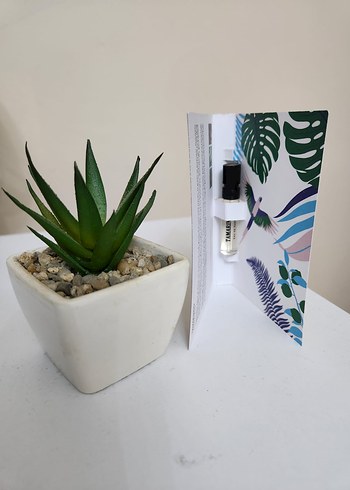 Memo Tamarindo EDP Unisex Parfüm - Görsel 2