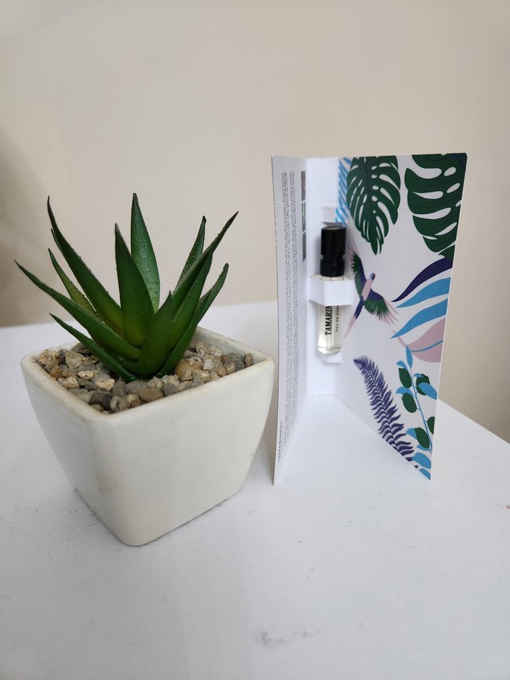 Memo Tamarindo EDP Unisex Parfüm - Görsel 2