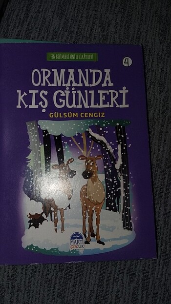 Hikaye kitapları 3 ve 4. sınıf icin - Görsel 5