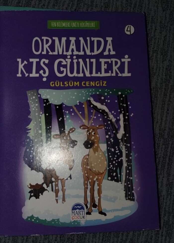 Hikaye kitapları 3 ve 4. sınıf icin - Görsel 5