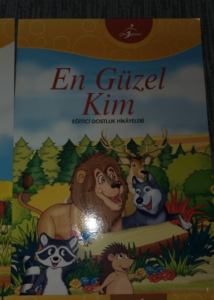 Hikaye set 4 kitap - Görsel 4