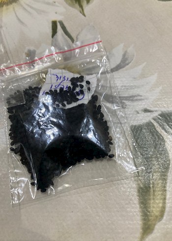 Çörek otu çiçeği 20 adet tohum - Görsel 5