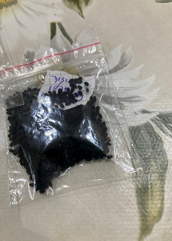 Çörek otu çiçeği 20 adet tohum - Görsel 4