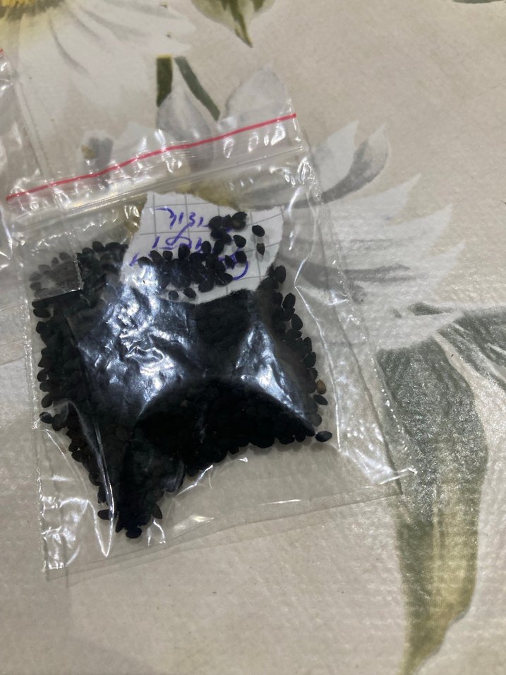 Çörek otu çiçeği 20 adet tohum - Görsel 5