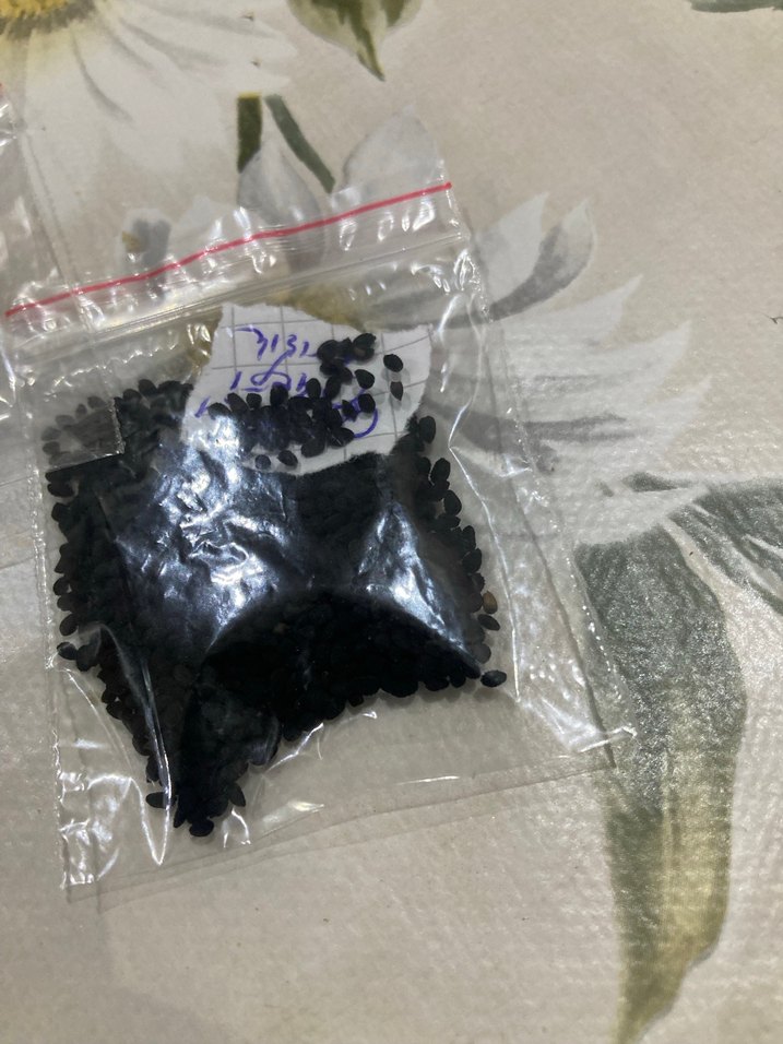 Çörek otu çiçeği 20 adet tohum - Görsel 4