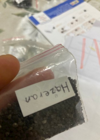 Hazeran çiçeği tohumu 10 adet - Görsel 5