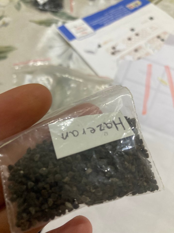 Hazeran çiçeği tohumu 10 adet - Görsel 4