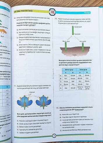  Paraf Yayınları Ayt Biyoloji Deneme 
