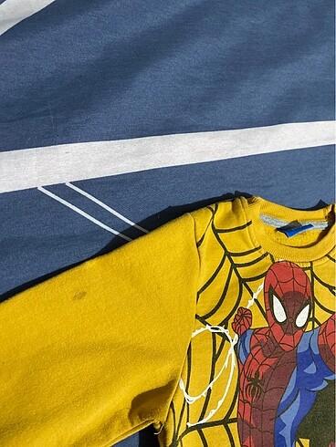 Walt Disney World Erkek çocuk sweat