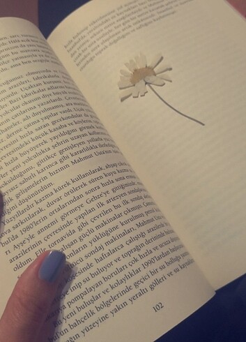 Kitap