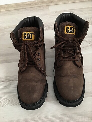Cat erkek bot
