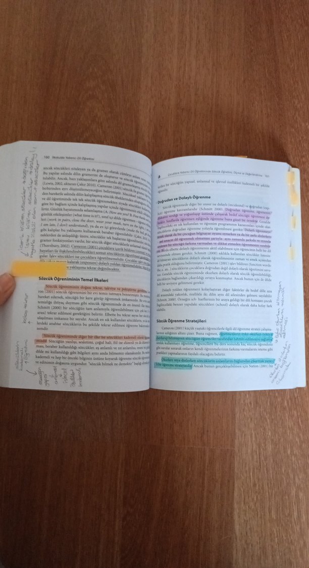 İlkokulda Yabancı Dil Öğretimi Kitabı - Görsel 2